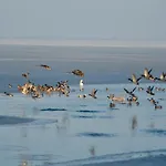 דירה Meerforelle 207 - Seeblick *