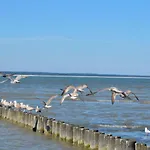 Meerforelle 207 - Seeblick