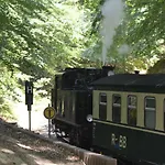 Meerforelle 207 - Seeblick *