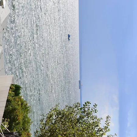 Meerforelle 207 - Seeblick