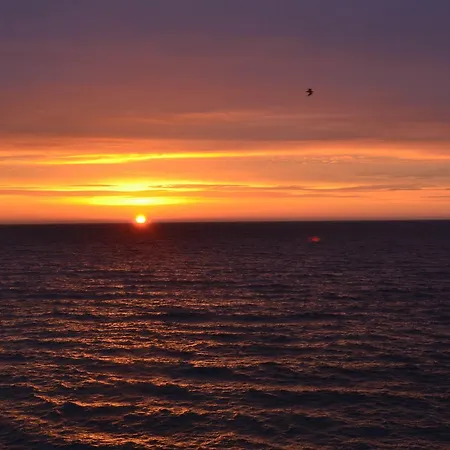 Meerforelle 207 - Seeblick *