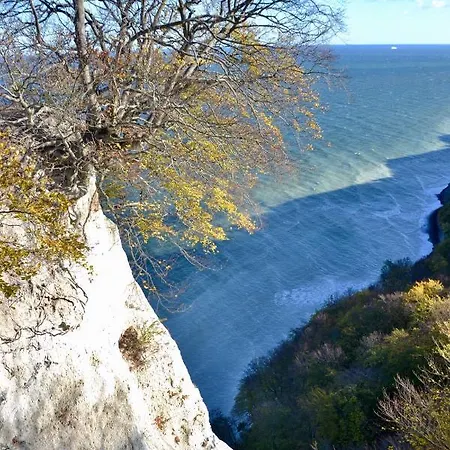 Meerforelle 207 - Seeblick Засниц