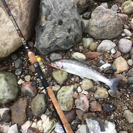 Meerforelle 207 - Seeblick