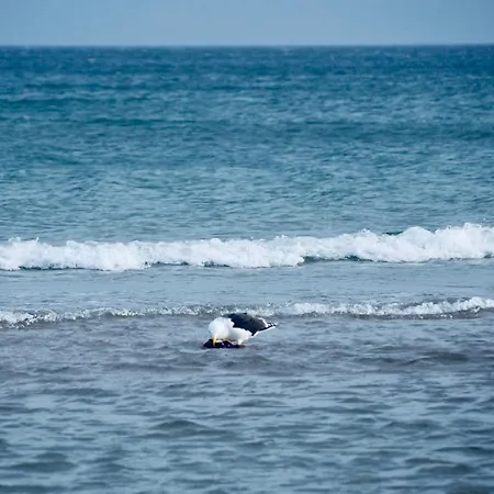 Meerforelle 207 - Seeblick Apartment