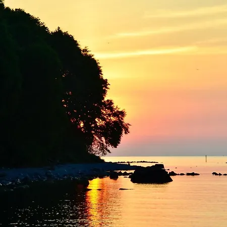 Apartment Meerforelle 207 - Seeblick