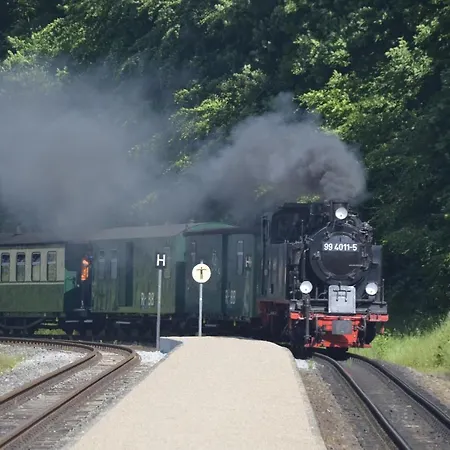 Meerforelle 207 - Seeblick Apartment