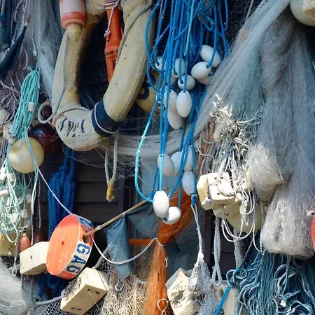 Apartamento Meerforelle 207 - Seeblick *