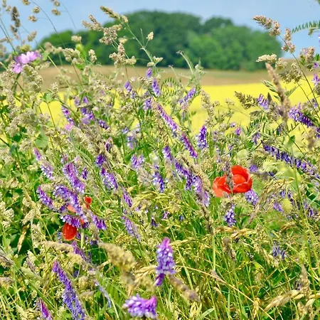 Meerforelle 207 - Seeblick Апартаменты Засниц