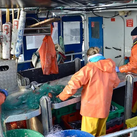 Meerforelle 207 - Seeblick Апартаменты