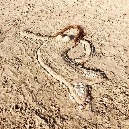 Apartamento Meerforelle 207 - Seeblick Sassnitz