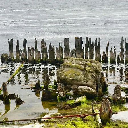 Meerforelle 207 - Seeblick Апартаменты *