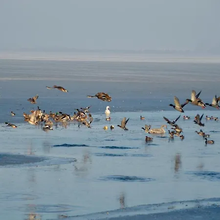 Апартаменты Meerforelle 207 - Seeblick *