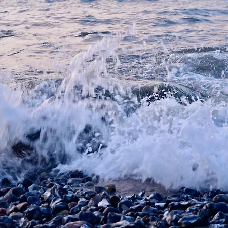 Meerforelle 207 - Seeblick *