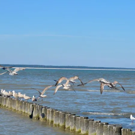 Meerforelle 207 - Seeblick