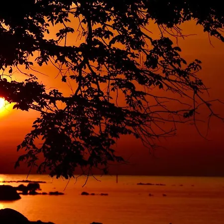 Meerforelle 207 - Seeblick Apartment *