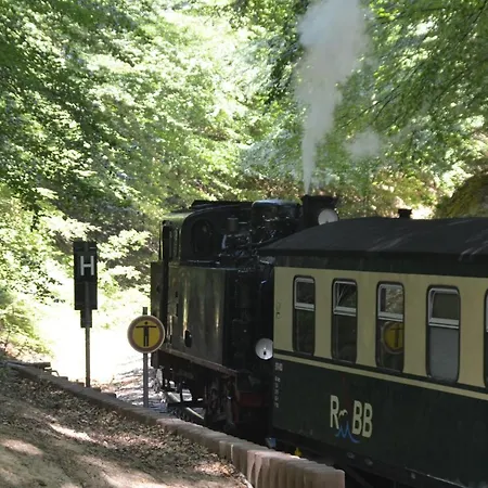 Meerforelle 207 - Seeblick *