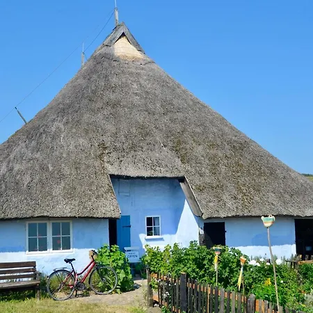 Meerforelle 207 - Seeblick