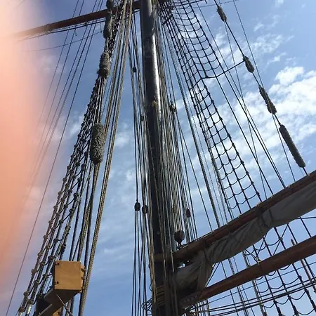 Meerforelle 207 - Seeblick