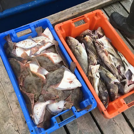 Meerforelle 207 - Seeblick *