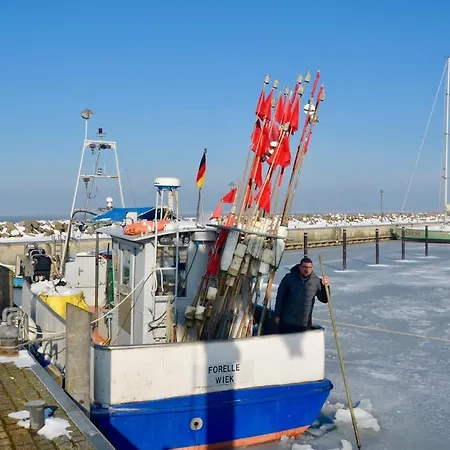 Meerforelle 207 - Seeblick * Sassnitz