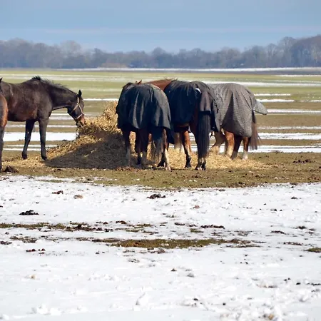 Apartment Meerforelle 207 - Seeblick *