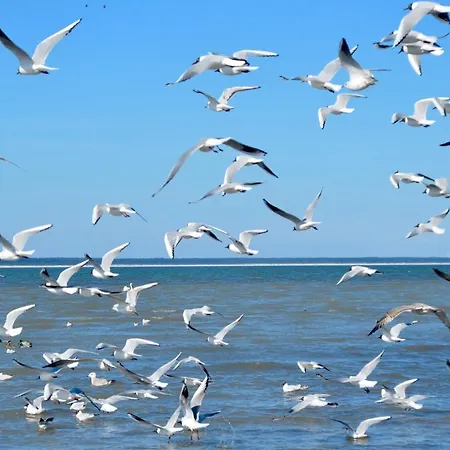 Meerforelle 207 - Seeblick Апартаменты *