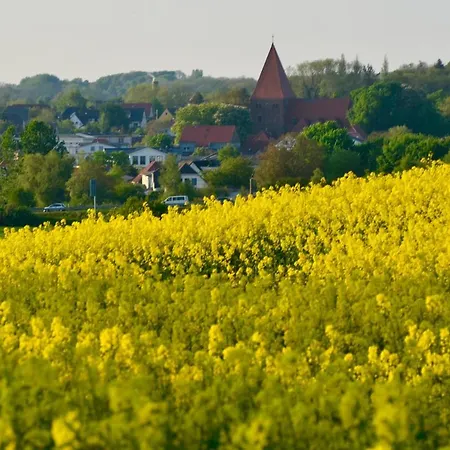 Meerforelle 207 - Seeblick Apartment