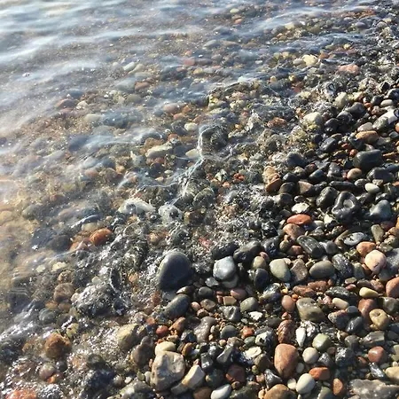 Meerforelle 207 - Seeblick *