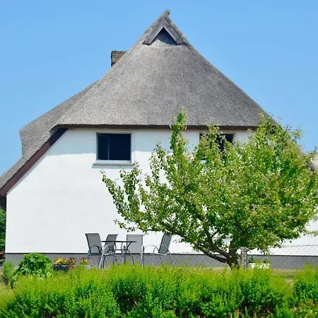 Meerforelle 207 - Seeblick *