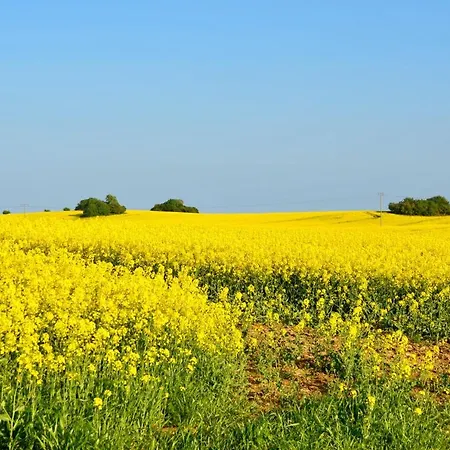 Meerforelle 207 - Seeblick Apartment Sassnitz