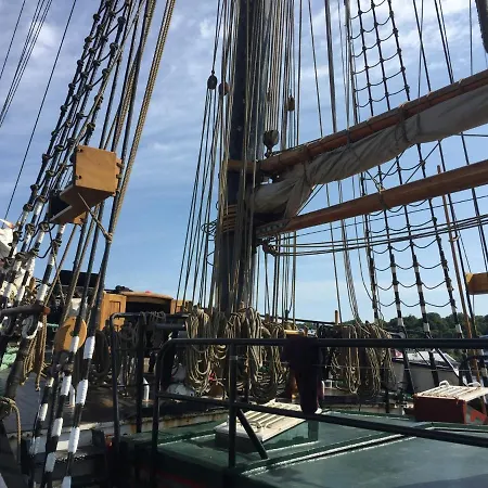 Meerforelle 207 - Seeblick