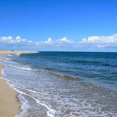 Meerforelle 207 - Seeblick *