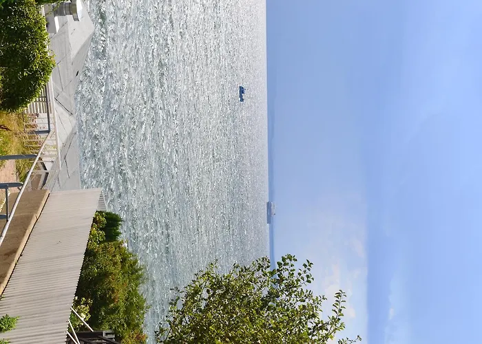 Meerforelle 207 - Seeblick