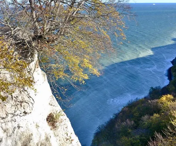 Meerforelle 207 - Seeblick Sassnitz