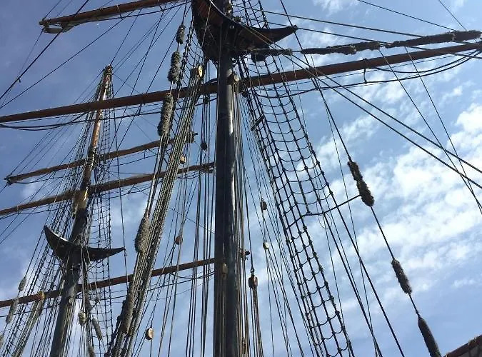 Meerforelle 207 - Seeblick Sassnitz