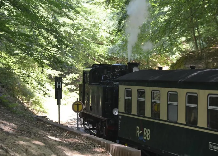 Meerforelle 207 - Seeblick *