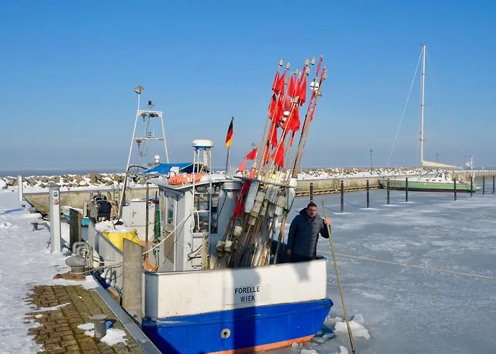Meerforelle 207 - Seeblick * Sassnitz