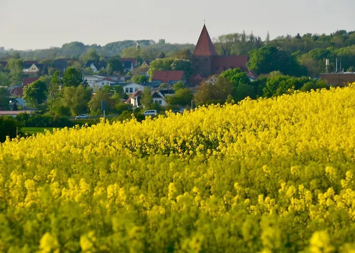 Meerforelle 207 - Seeblick Appartement